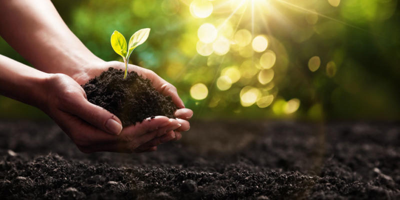plant-in-hand-agriculture-sm plant-in-hand-agriculture-sm